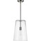 Progress Lighting Clarion Collection Brushed Nickel One-Light Medium Pendant P500242-009 - alternate 3